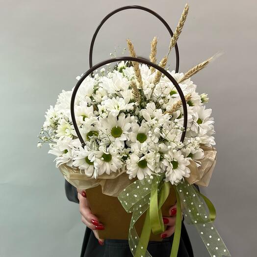 Composition of chamomile Chrysanthemums "Deja Vu"