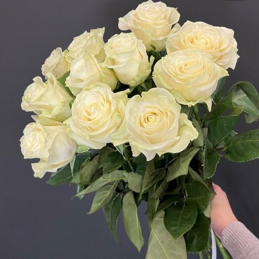 Роза Мондиаль 11 штук 70