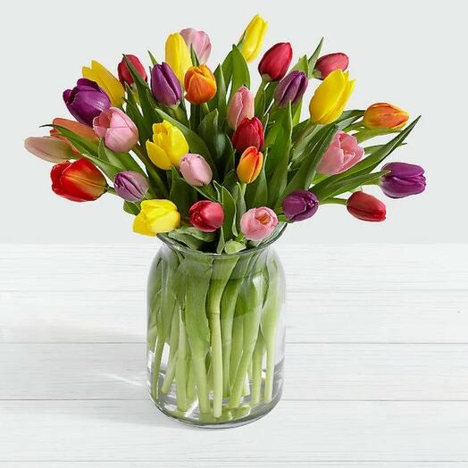 30 Mix Tulips