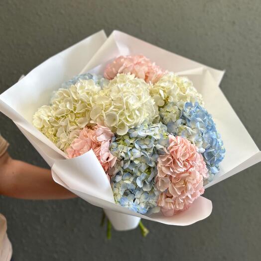 Гортензия микс