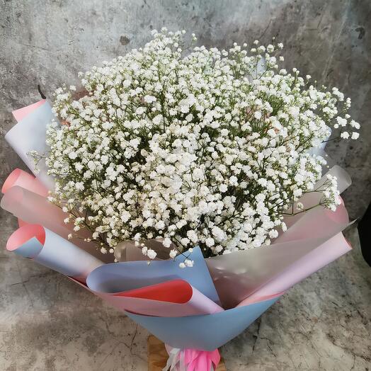 Ramo de gypsophila