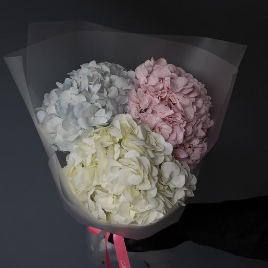 Ramo de hortensias multicolores