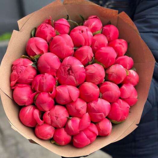 Коралловые пионы 31