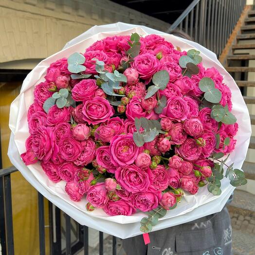 Fragrant Rose 🌸🩷