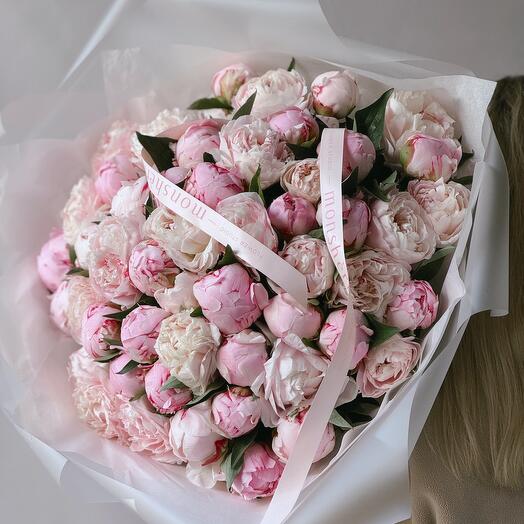 Пионы Сара Бернар 51 💕
