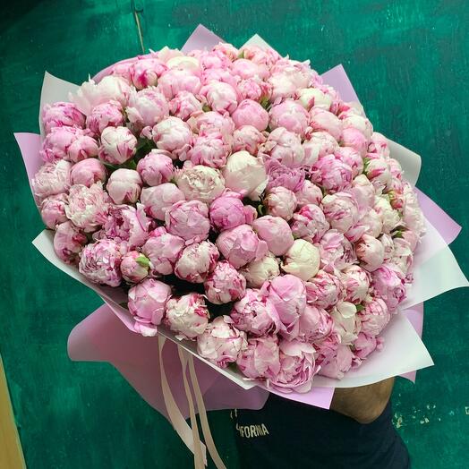 Pink peonies 101