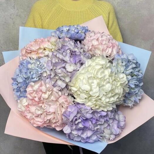 Hydrangeas