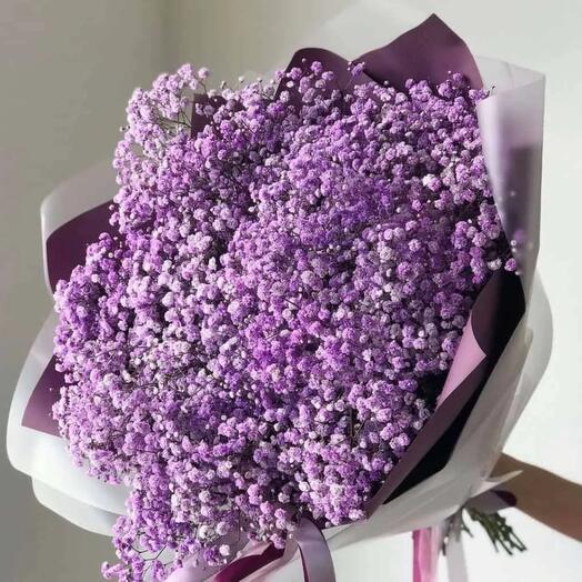 51 гипсофила сиреневая