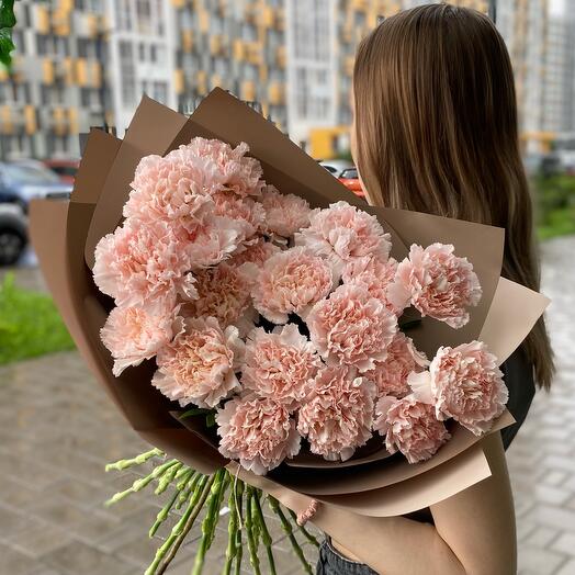 Диантусы капучино 21 шт