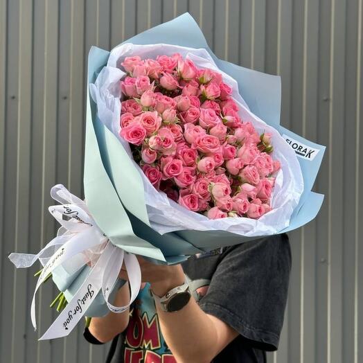 Pink Cheops