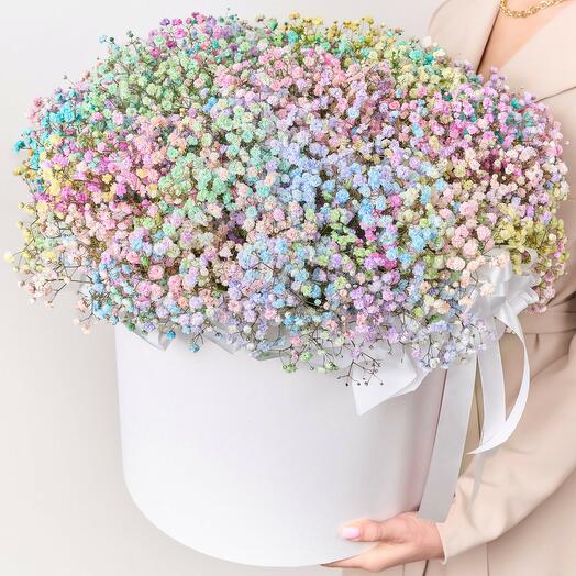 Гипсофила в коробке🎁