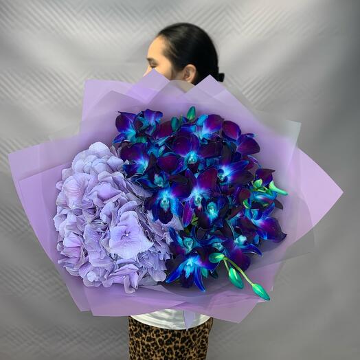 Луна и Звезды
