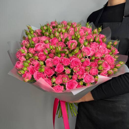 35 Pink Diamond Bush Roses