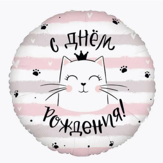 Фальгированный шар котик