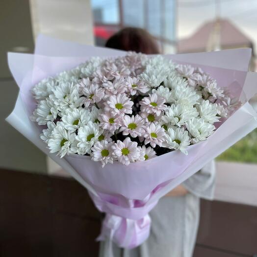 15 хризантем-счастья!💜