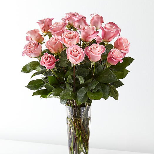 Pink rose in vase