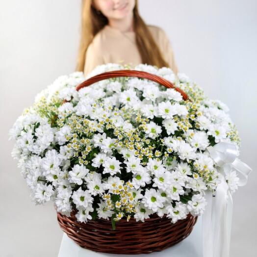 Большая корзина хризантем и ромашек