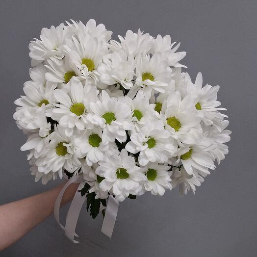 Хризантемы белые ромашковые под ленту 5 шт для мамы