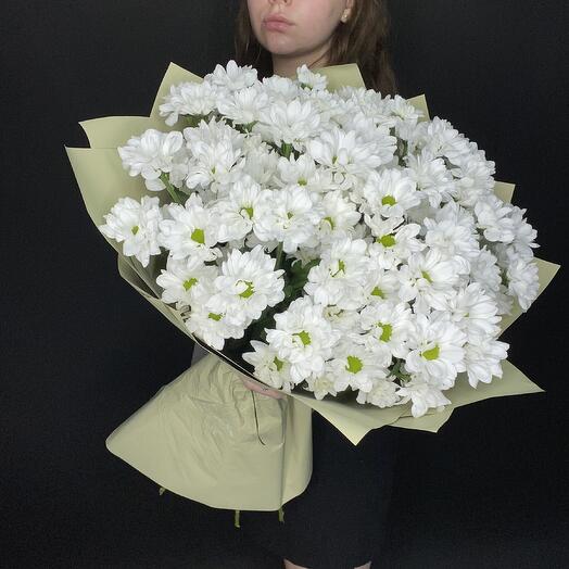 Кустовые хризантемы