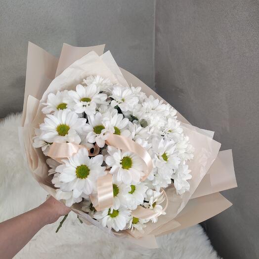 Милые ромашки