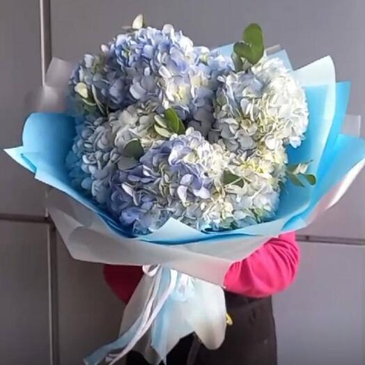 Букет голубых гортензий