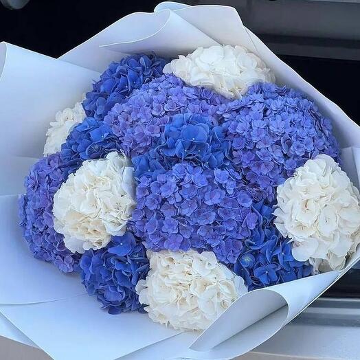 Bouquet of assorted hydrangeas