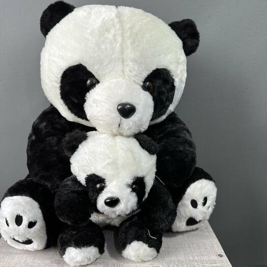 Панда и малыш