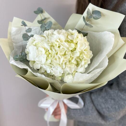 White hydrangea and eucalyptus bouquet compliment