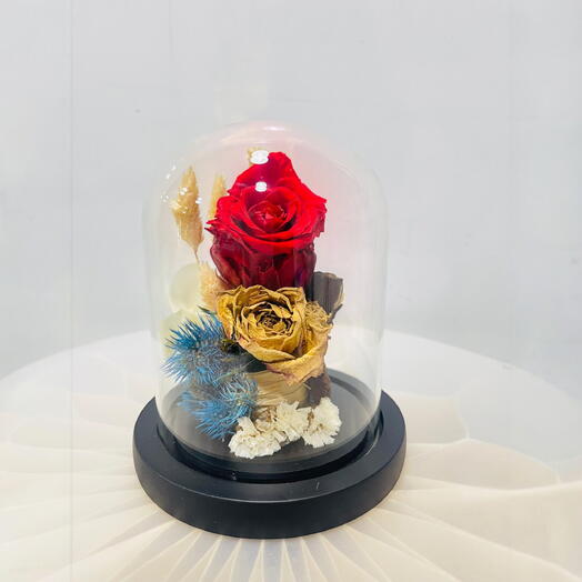 Enduring Love- Timeless Preserved Red Rose in Glass Dome – Lasting Beauty