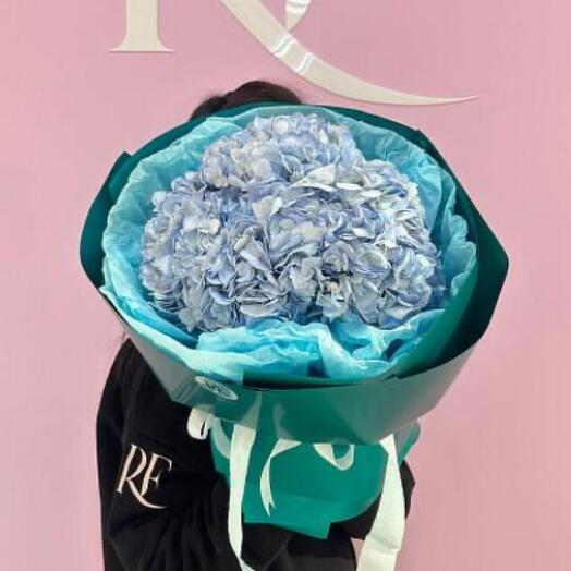 Моно букет из гортензии