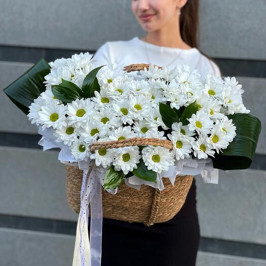 Хризантема кустовая с зеленью в корзине