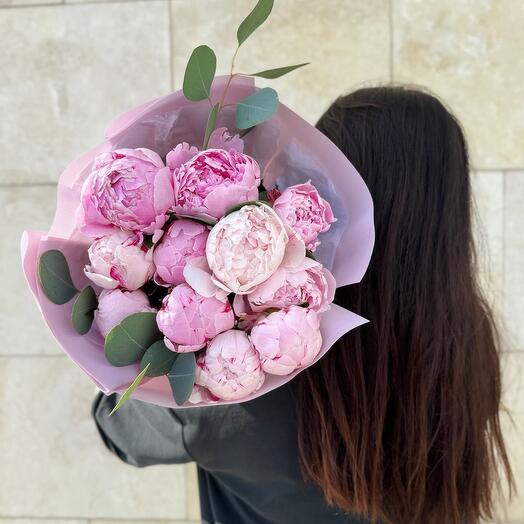 Пионы Сара Бернар