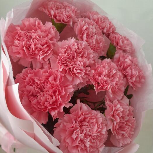 Ramo de Dianthus tiernos