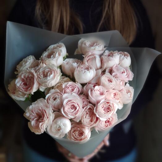 Кустовая роза Fairy Kiss Solo-7