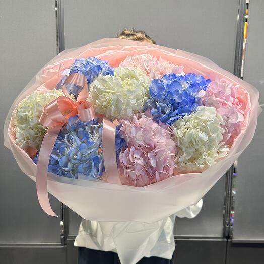 Букет из гортензии, гортензия микс, гортензия 9 шт