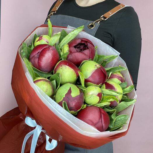 Бордовые пионы