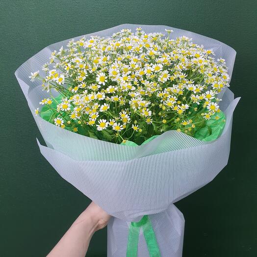 Букет из ромашек (танацетума)