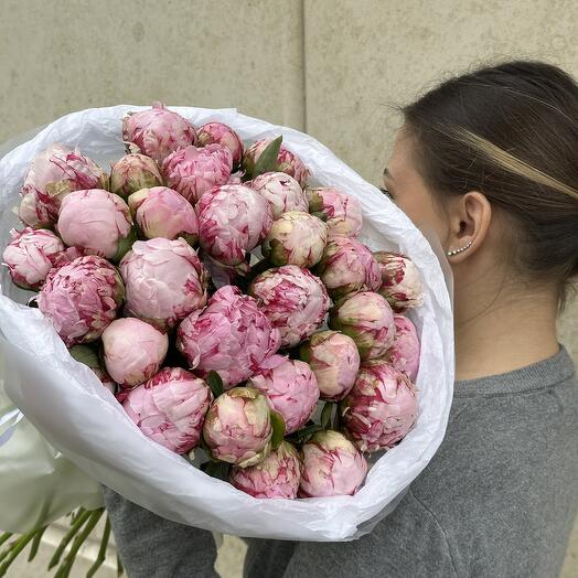 Букет из 31 пиона Сара Бернар (номер 25)