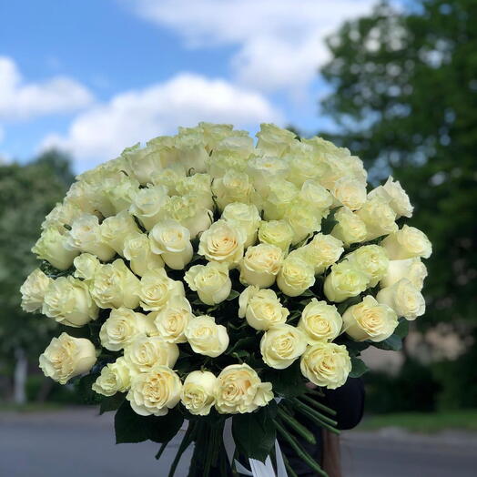 101 white roses