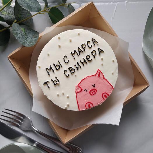 Бенто-торт "Мы с Марса ты свинера"