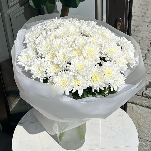 Кустовые хризантемы