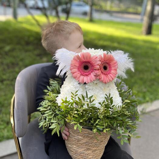 Сова Тюфи🦉