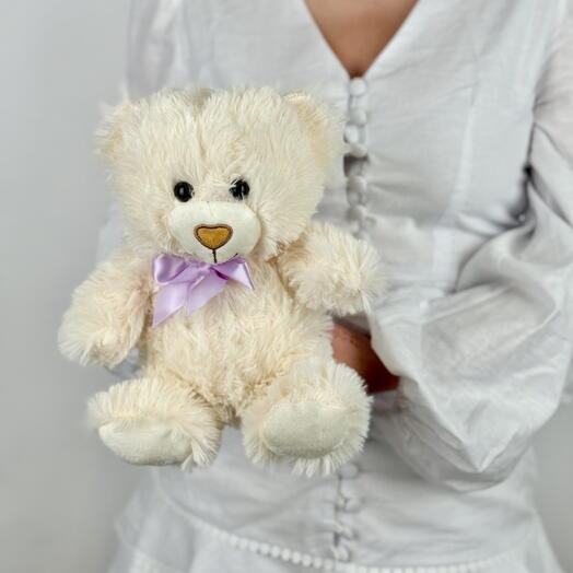 Little Hugs – White Teddy Bear