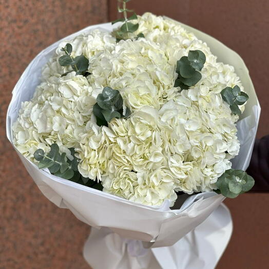 7 белых гортензии