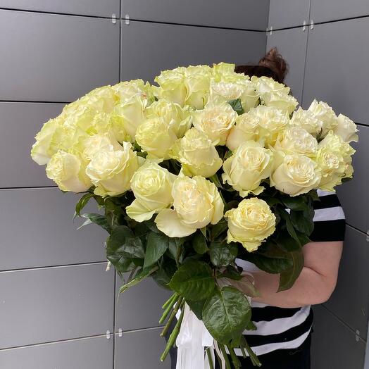Роза Эквадор Premium 51 шт