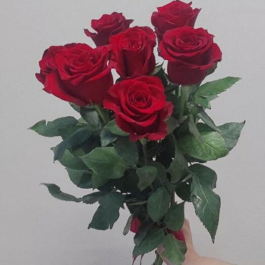 7 бордовых роз по ленту🌹