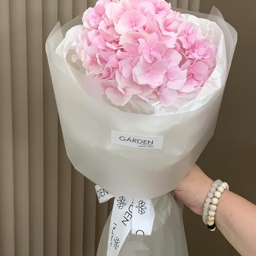 Розовая гортензия 😍