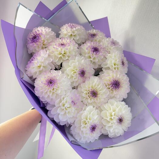 Нежные георгины 15 шт