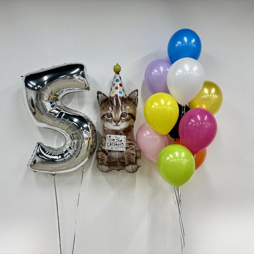 Шары 5 лет
