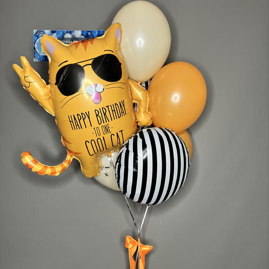 Фонтан «CoolCat»